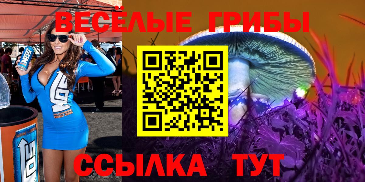 Псилоцибиновые грибы ЛСД Тара