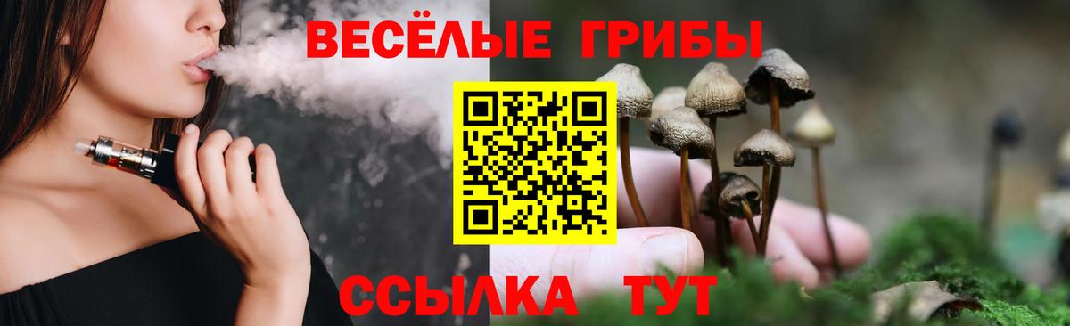 Псилоцибиновые грибы прущие грибы  Вход с VPN  Тара 